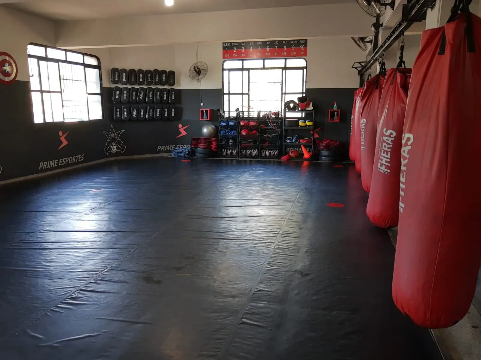 Estrutura da Academia 17