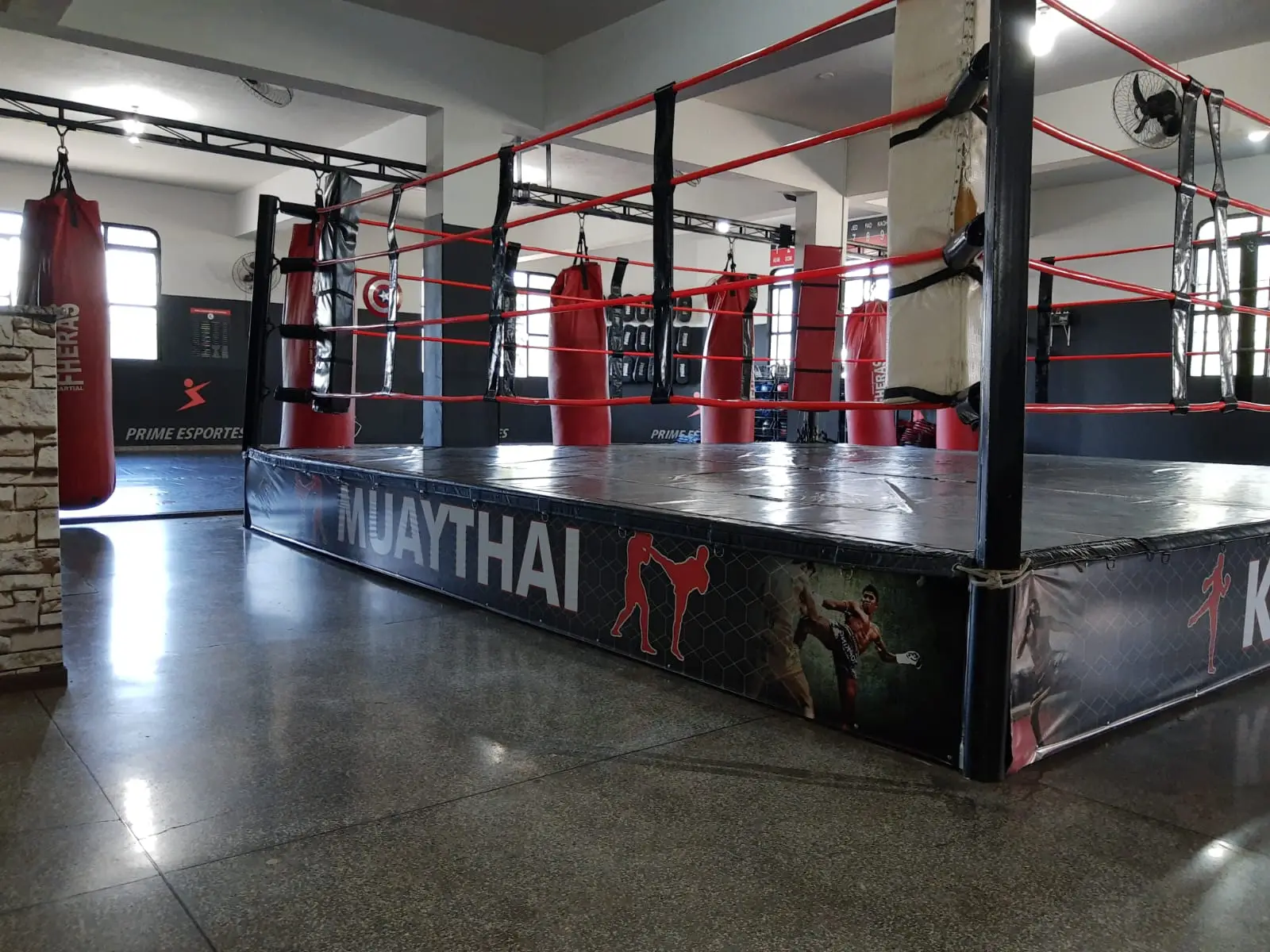 Estrutura da Academia 5